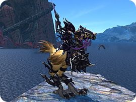 Chocobo Riding Chocobo Riding