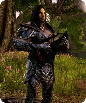 TESO-Guide