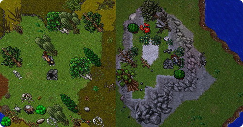 Tibia #2 - Tarantula e Stealth Ring! (Druid lvl 28)