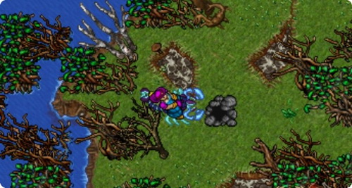 Tibia #2 - Tarantula e Stealth Ring! (Druid lvl 28) 